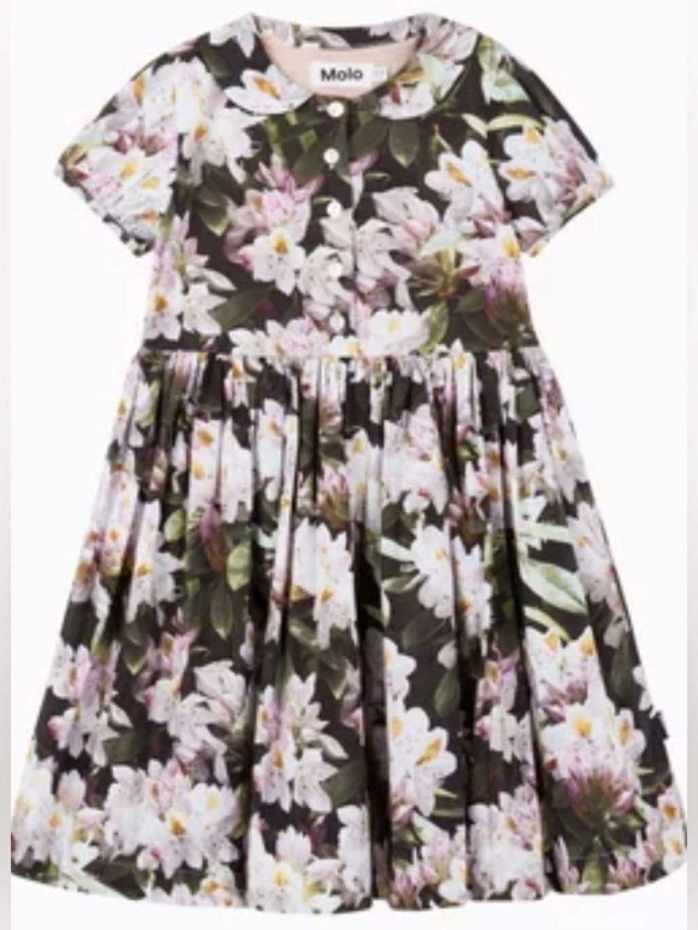 Molo Floral Cybil Dress in Black, Pink and Green